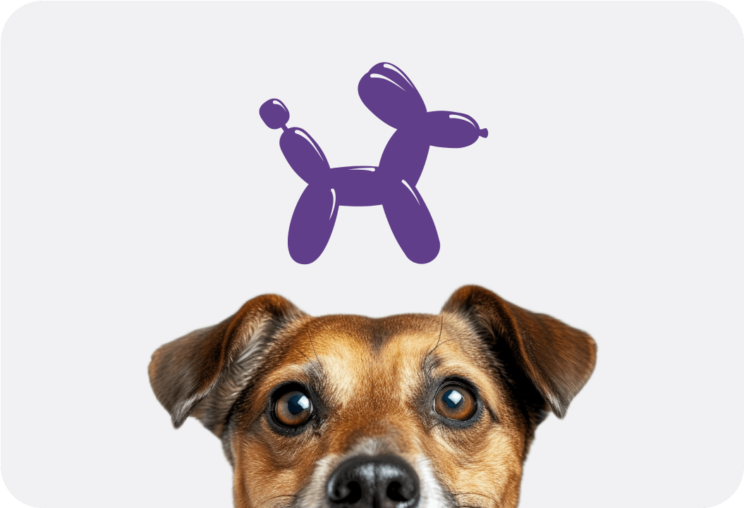 laika dog (1)